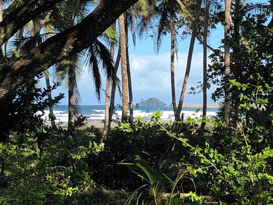 Beach view from our train ride in Limón, Costa Rica.