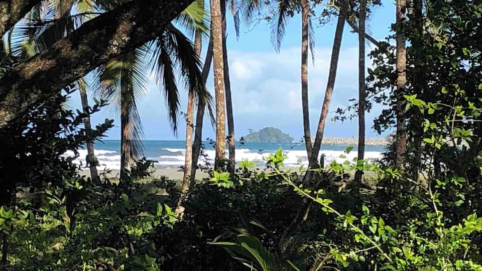 A beach with palm trees and ocean waves.