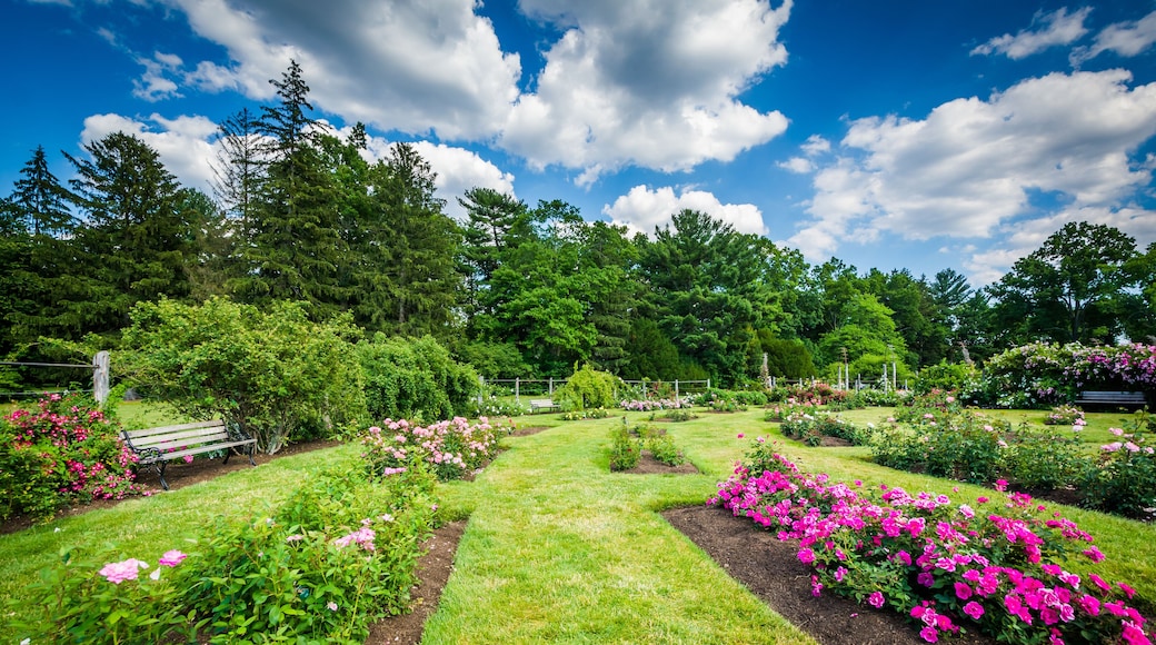 A garden with a bench, flowering plants, and trees under a blue sky.