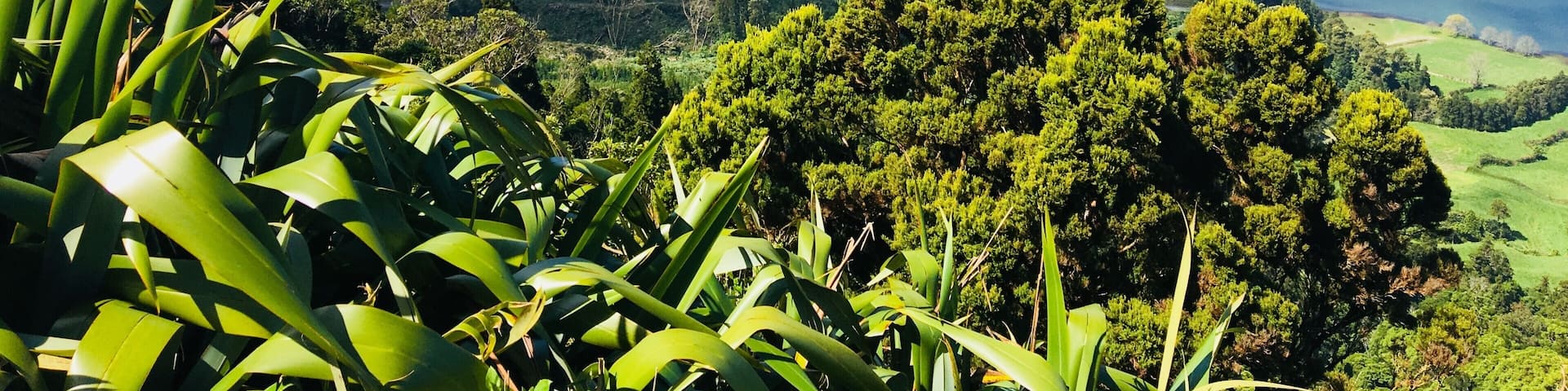 This is a little island called Sao Miguel just in the middle of the Atlantic ocean.
I really love the color of the water and the nature around.
#LifeAtExpedia
#Beaches contests