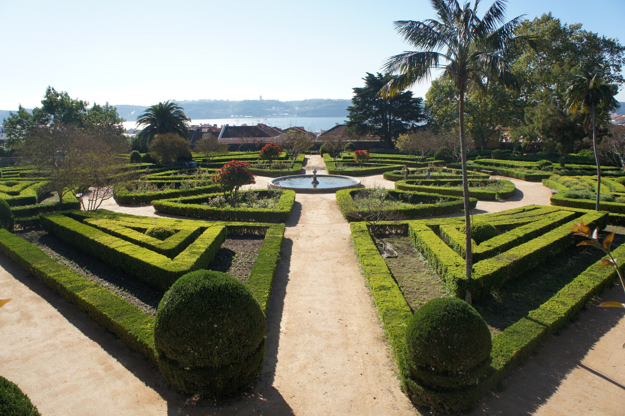 Nice botanical garden with trees & species from Portugal's former colonies. Small but very well maintained and relaxing to walk through.