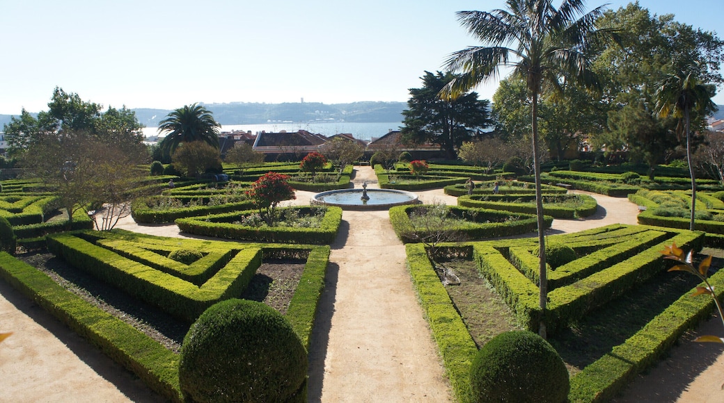Nice botanical garden with trees & species from Portugal's former colonies. Small but very well maintained and relaxing to walk through.