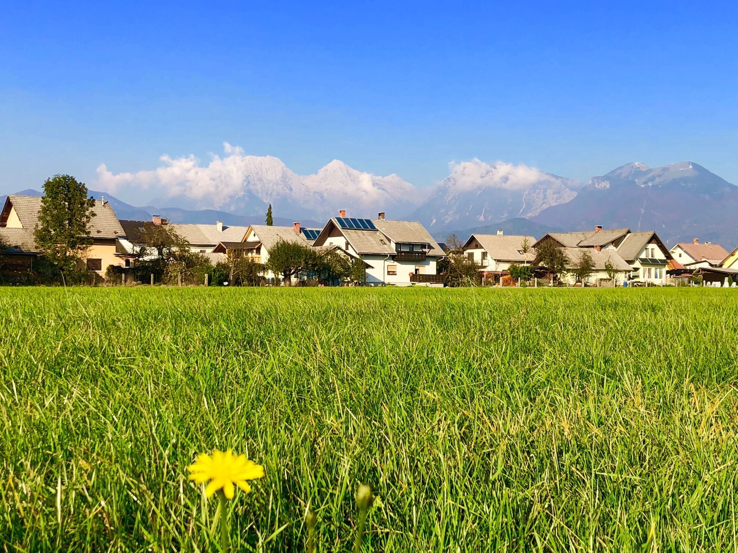 Nice snow cap mountains behind