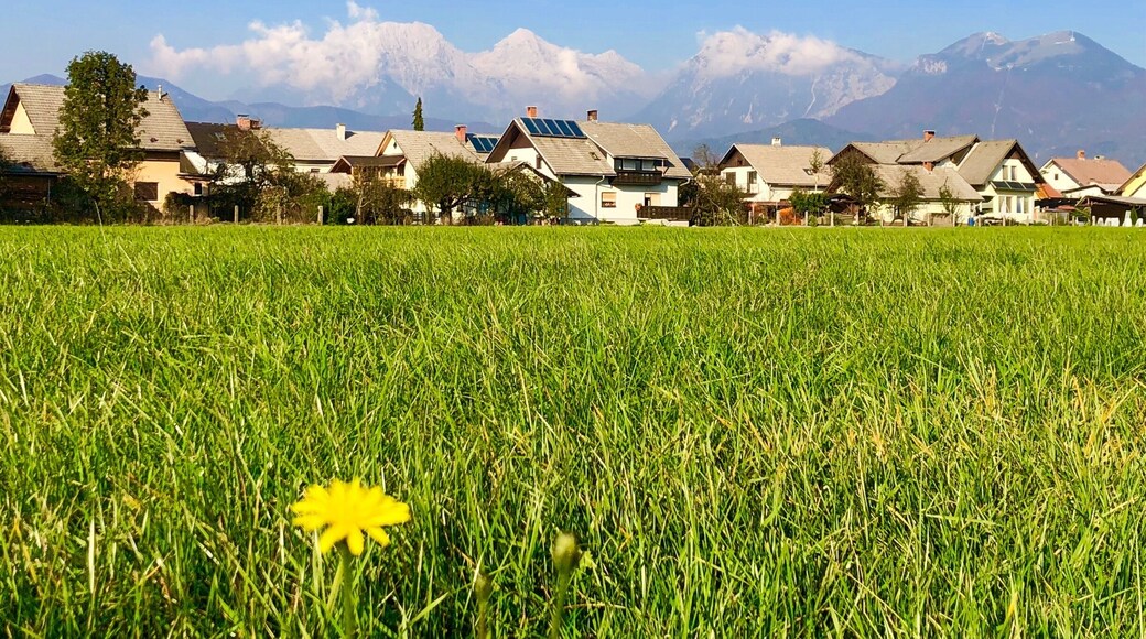 Nice snow cap mountains behind