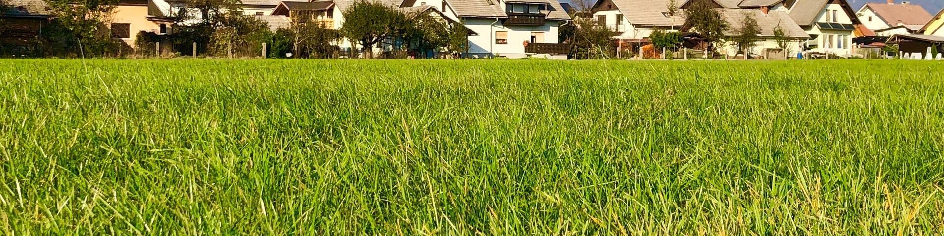 Nice snow cap mountains behind