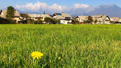Nice snow cap mountains behind