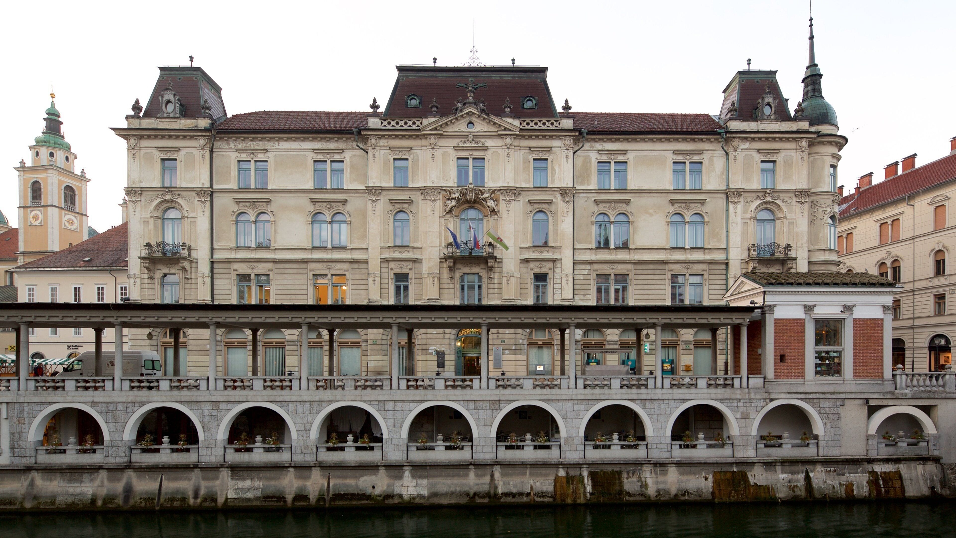 Ljubljana showing heritage architecture and a city