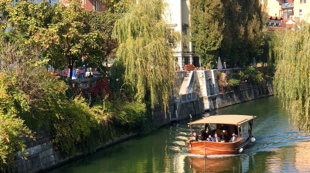 One of the many bridges in Ljubljana