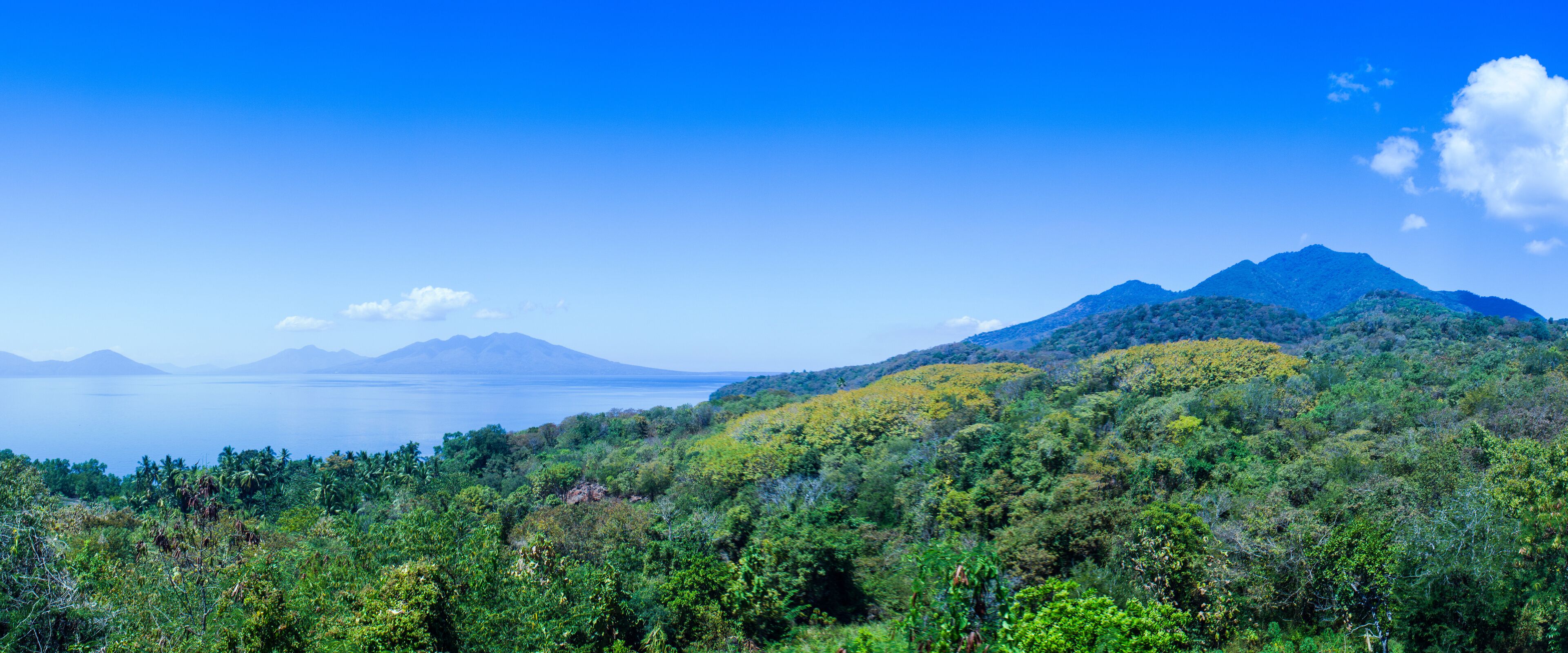 A mountainous landscape with dense green foliage, a clear blue sky, and a calm body of water in the distance.