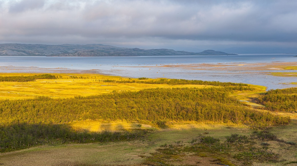 Midnightsun over the Porsangerfjord in the vicinity of Lakselv, Finnmark, Noorwegen