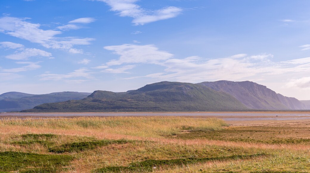 Coastal landscape in Finnmark in Northern Norway near Tanafjord