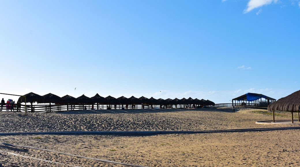 Palapas a la orilla del mar en playa El Maviri