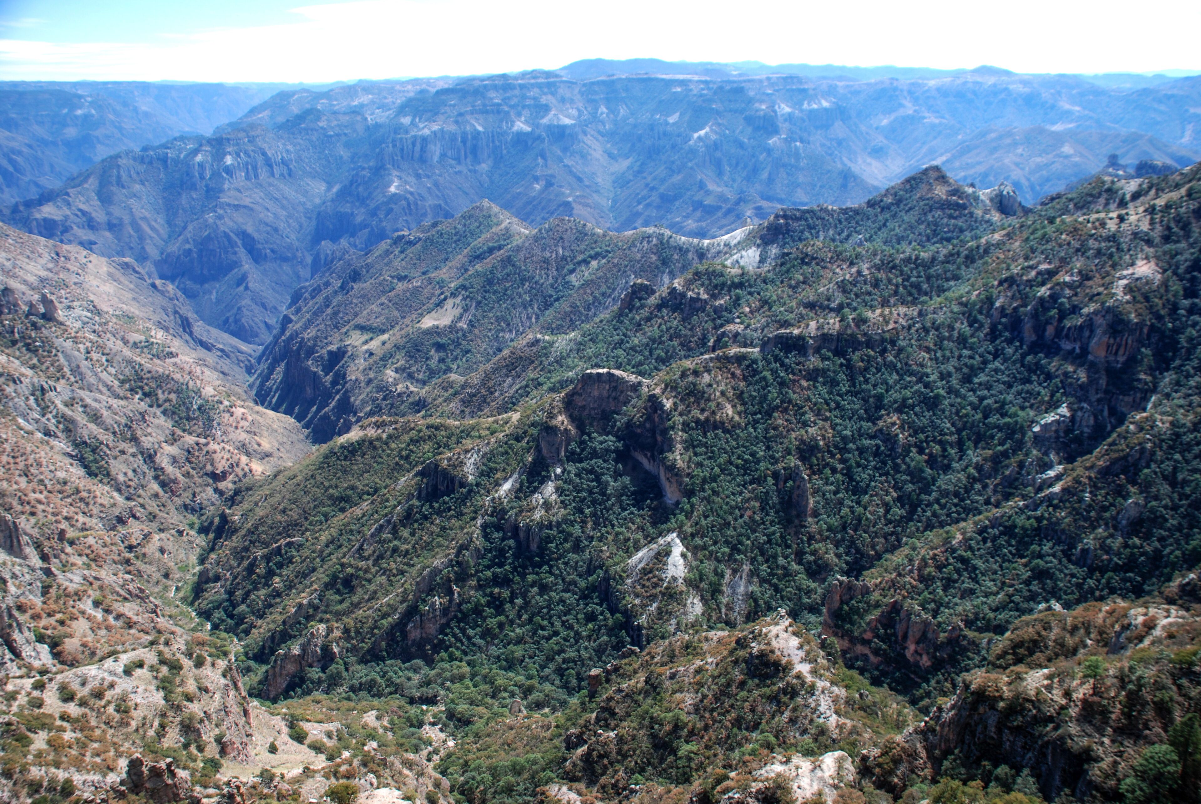 Chepe train in Barranca del Cobre