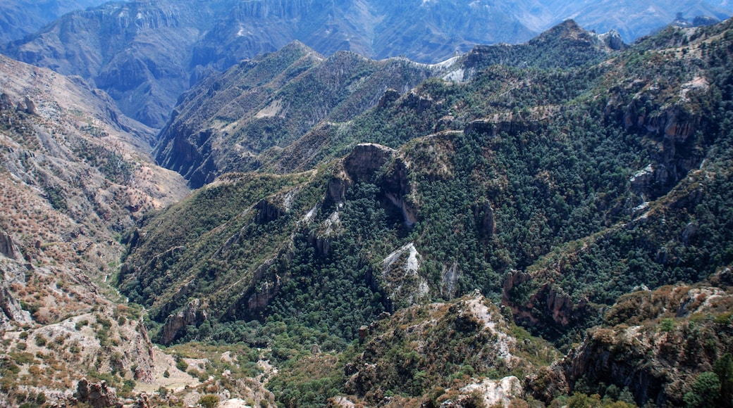 Chepe train in Barranca del Cobre