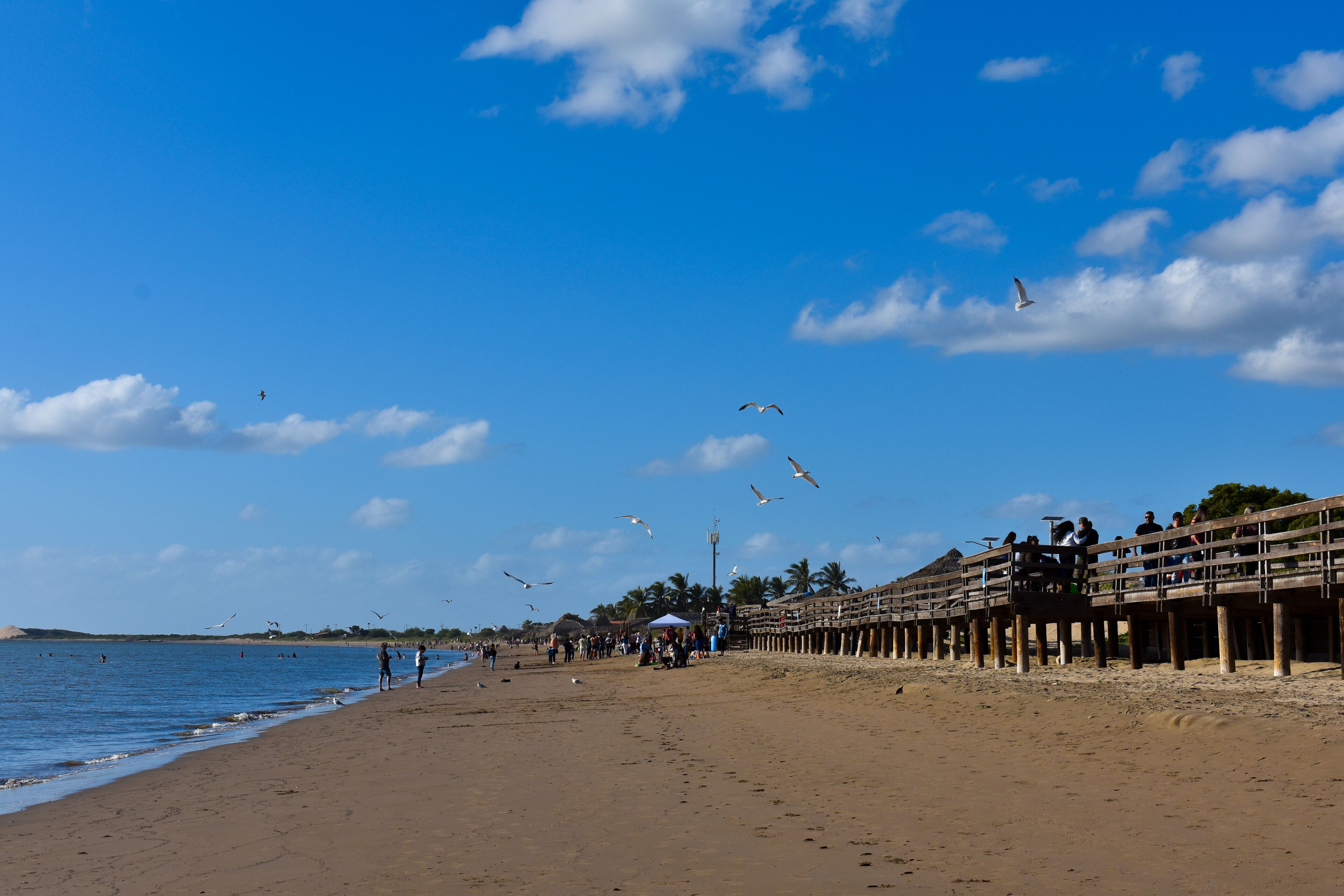 Muelle y orilla del mar. Playa El Maviri