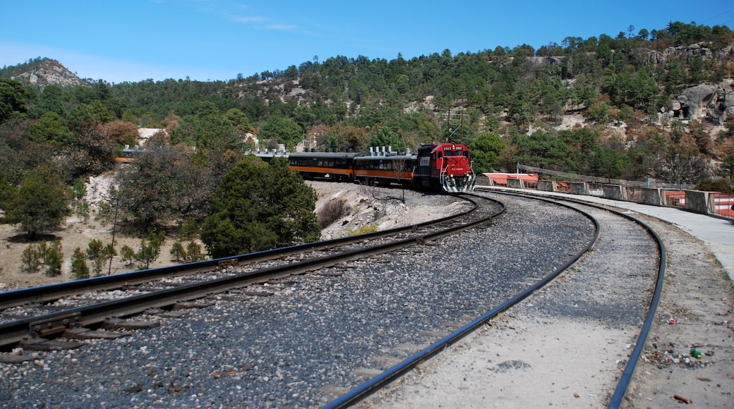 Chepe train in Barranca del Cobre