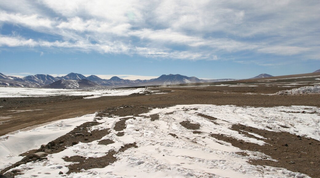 Bolivia mostrando nieve, vistas al desierto y vistas de paisajes