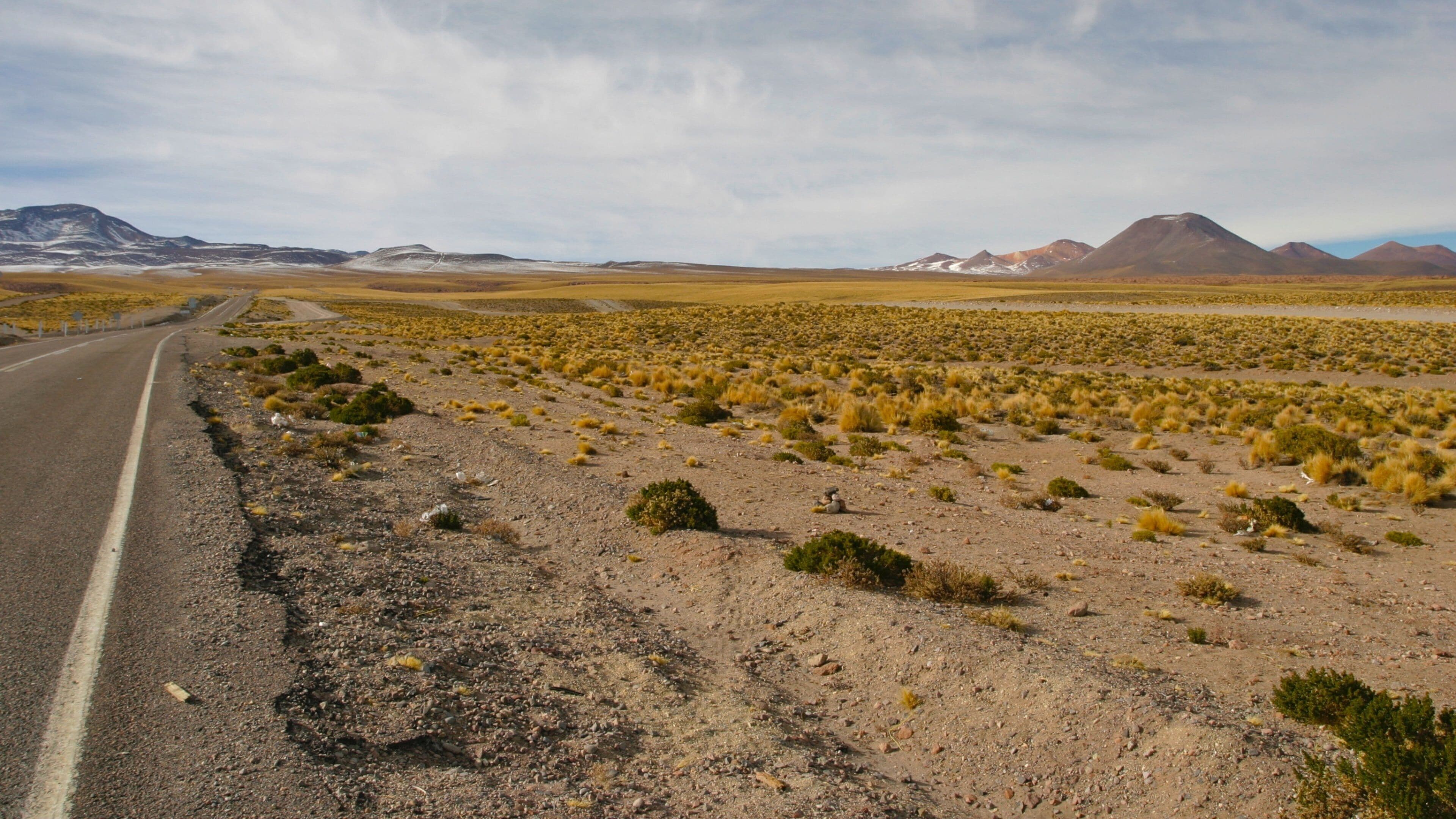 Bolivie mettant en vedette panoramas et vues du désert
