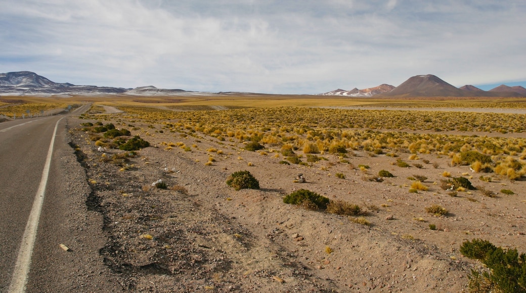 Bolivia ofreciendo vistas de paisajes y vistas al desierto