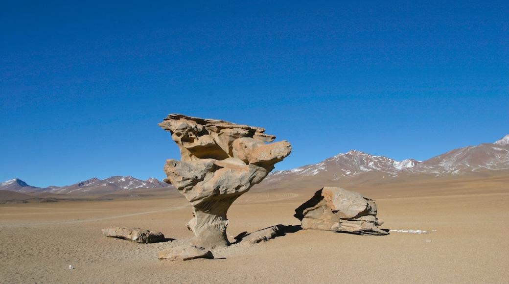 Bolivia mostrando vistas al desierto