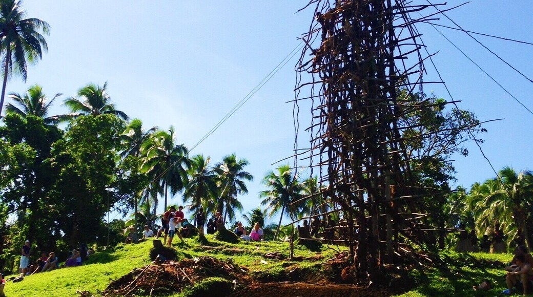 If you ever get the chance to watch the land diving at Pentecost, do it! #vanuatu #pentecost #landdiving #scary #blue #holiday #stunningstructures