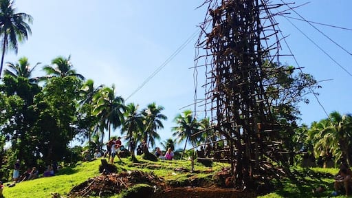If you ever get the chance to watch the land diving at Pentecost, do it! #vanuatu #pentecost #landdiving #scary #blue #holiday #stunningstructures