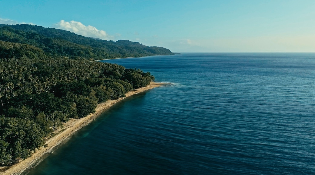 aerial drone image of a remote south pacific island with sandy beach shore and beautiful ocean sea seascape and lush tropical rainforest jungle