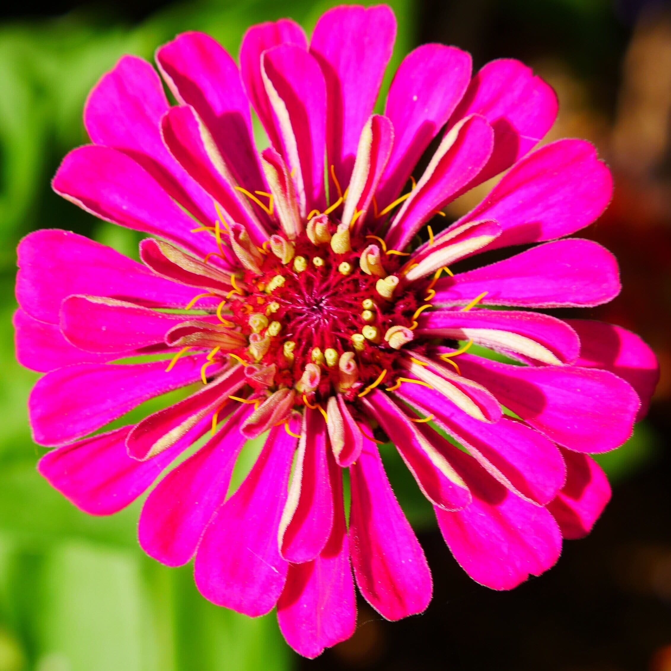 Sunken garden built in 1930 This is such a cool place to check out. Here is another photo with few more coming soon.