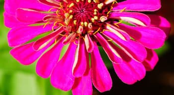 Sunken garden built in 1930 This is such a cool place to check out. Here is another photo with few more coming soon.