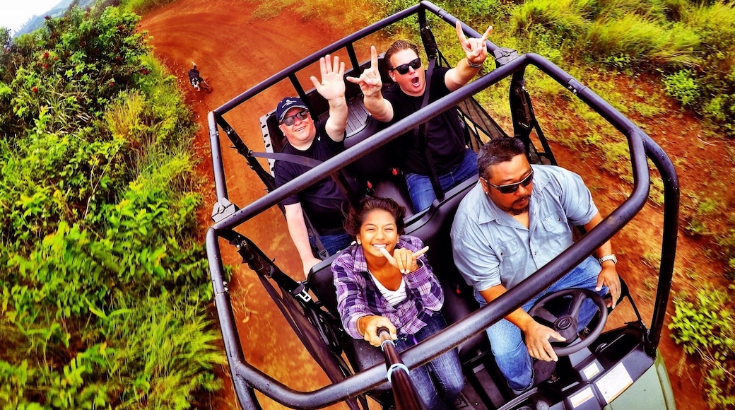 Don't let the red dirt keep you from going on an exhilarating UTV ride. Blaze through the back trails of Lanai City for some awesome fresh air and amazing scenery! #lanai #hawaii #utv