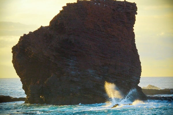 Behold... Puu Pehe, known as “Sweetheart Rock”.
This is Lanai’s most notable landmark and the setting for one of Hawaii’s epic legends.
Story goes a hottie princess from Maui was "captured" by a young warrior from Lanai. He made her his wife and he was so smitten with her beauty and... apparently so insecure that he was afraid to let other men see her so kept her in a sea cave near the rock when he was away. One day the weather suddenly changes, the surf slams the area, and... yup, one less princess. The warrior rushed back to the cave, but it was too late, he climbed the steep rock where he buried her in a tomb and then overcome with grief leapt to his death.
Moral of story might be... um, don't abduct women and lock them in caves.
