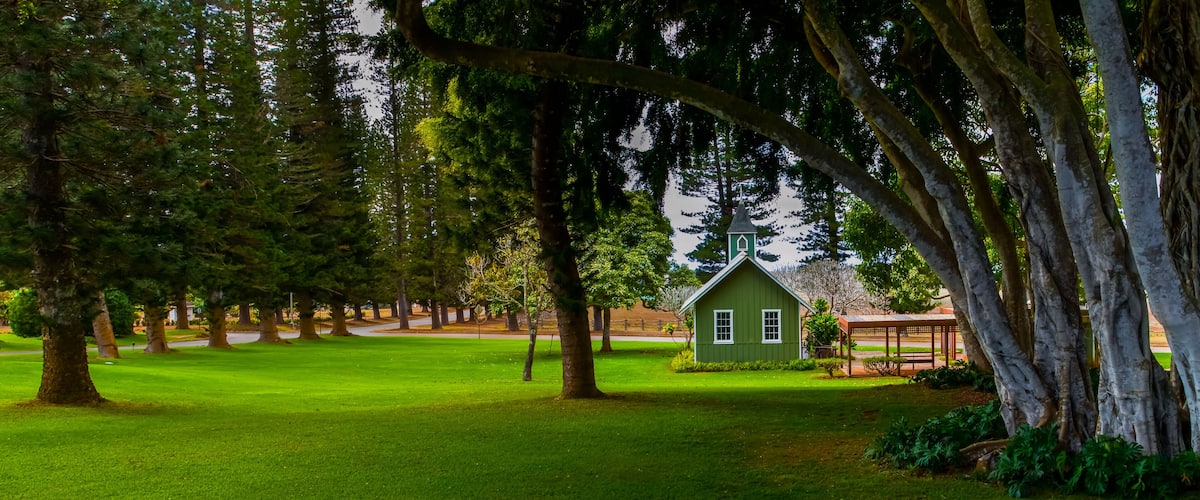 A green house with a white steeple, surrounded by tall trees and a well-maintained lawn.