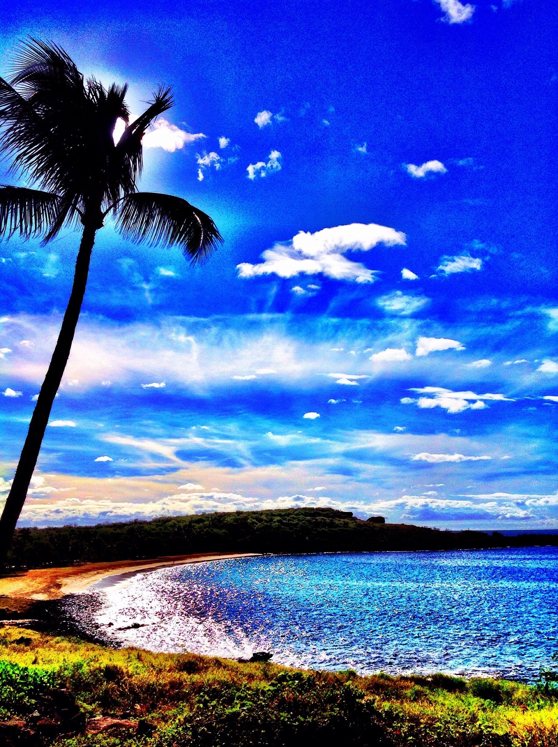 Enjoying my morning walk around Four Seasons Resort Lanai at Manele Bay. The view of Hulopoe Bay is breathtaking. Not only is the water warm but the snorkeling is phenomenal. The bay is a Marine sanctuary filled with colorful marine life. We're so blessed to enjoy this uncrowded beach with the nicest public restrooms ever. #beach #lanai #hawaii