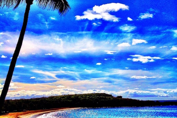 A beach with clear blue water, a palm tree, and a partly cloudy sky.