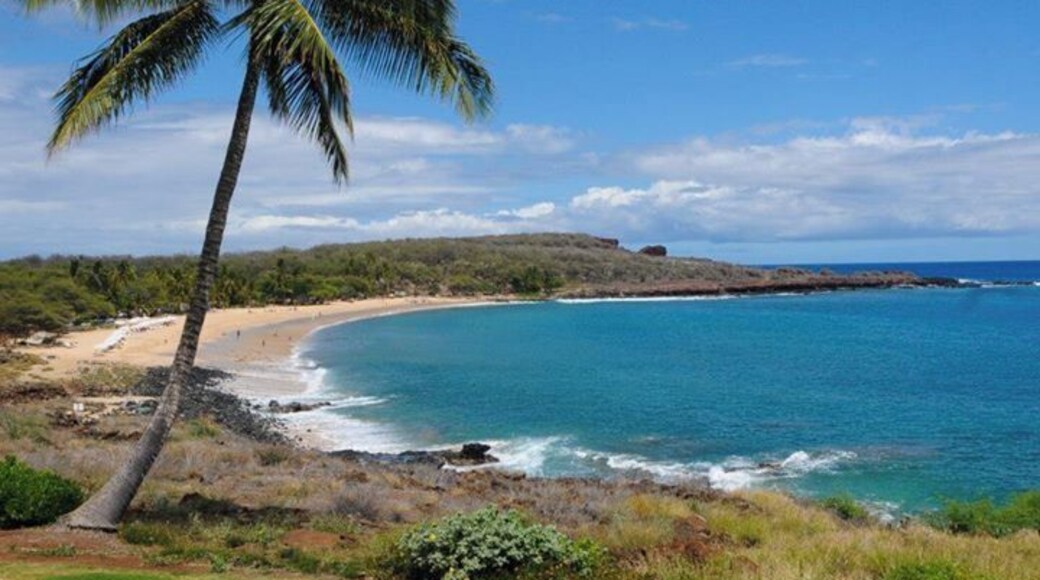 The Four Seasons Resort Lanai at Manele Bay overlooks Hulopoe Beach, a fabulous crescent stretch of white sand. With lavatories, picnic facilities, and plenty of shady palms. You can often see spinner dolphin close to shoreline, and humpback whales in the winter. This area is a protected marine preserve and is a great snorkeling and diving spot.
The Four Seasons offers lounge chairs, complimentary snorkeling equipment, and towels. Also, big coolers of Ice-water and the best lemonade ever !
