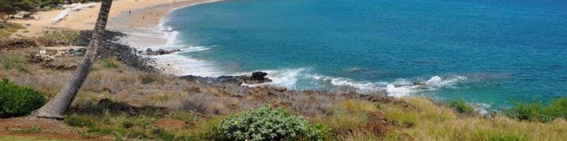 The Four Seasons Resort Lanai at Manele Bay overlooks Hulopoe Beach, a fabulous crescent stretch of white sand. With lavatories, picnic facilities, and plenty of shady palms. You can often see spinner dolphin close to shoreline, and humpback whales in the winter. This area is a protected marine preserve and is a great snorkeling and diving spot.
The Four Seasons offers lounge chairs, complimentary snorkeling equipment, and towels. Also, big coolers of Ice-water and the best lemonade ever !