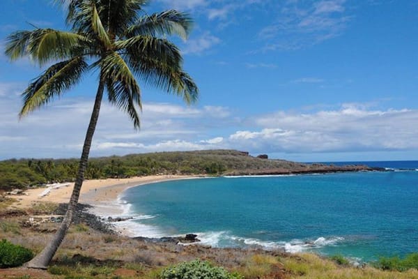 The Four Seasons Resort Lanai at Manele Bay overlooks Hulopoe Beach, a fabulous crescent stretch of white sand. With lavatories, picnic facilities, and plenty of shady palms. You can often see spinner dolphin close to shoreline, and humpback whales in the winter. This area is a protected marine preserve and is a great snorkeling and diving spot.
The Four Seasons offers lounge chairs, complimentary snorkeling equipment, and towels. Also, big coolers of Ice-water and the best lemonade ever !