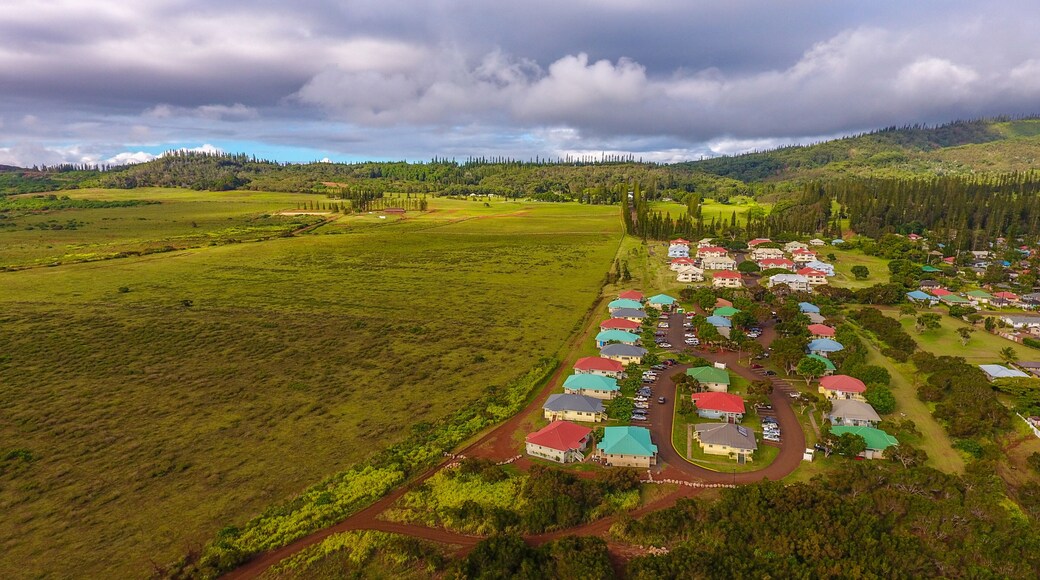 ลาไนซิตี