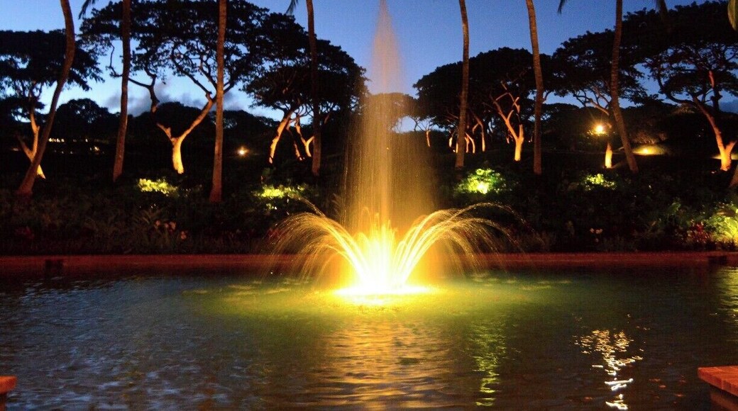 The front of the Four Seasons has a nice fountain and up-lighted trees that make for a nice long exposure shot. Best taken just after dusk.