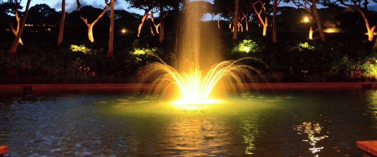 The front of the Four Seasons has a nice fountain and up-lighted trees that make for a nice long exposure shot. Best taken just after dusk.