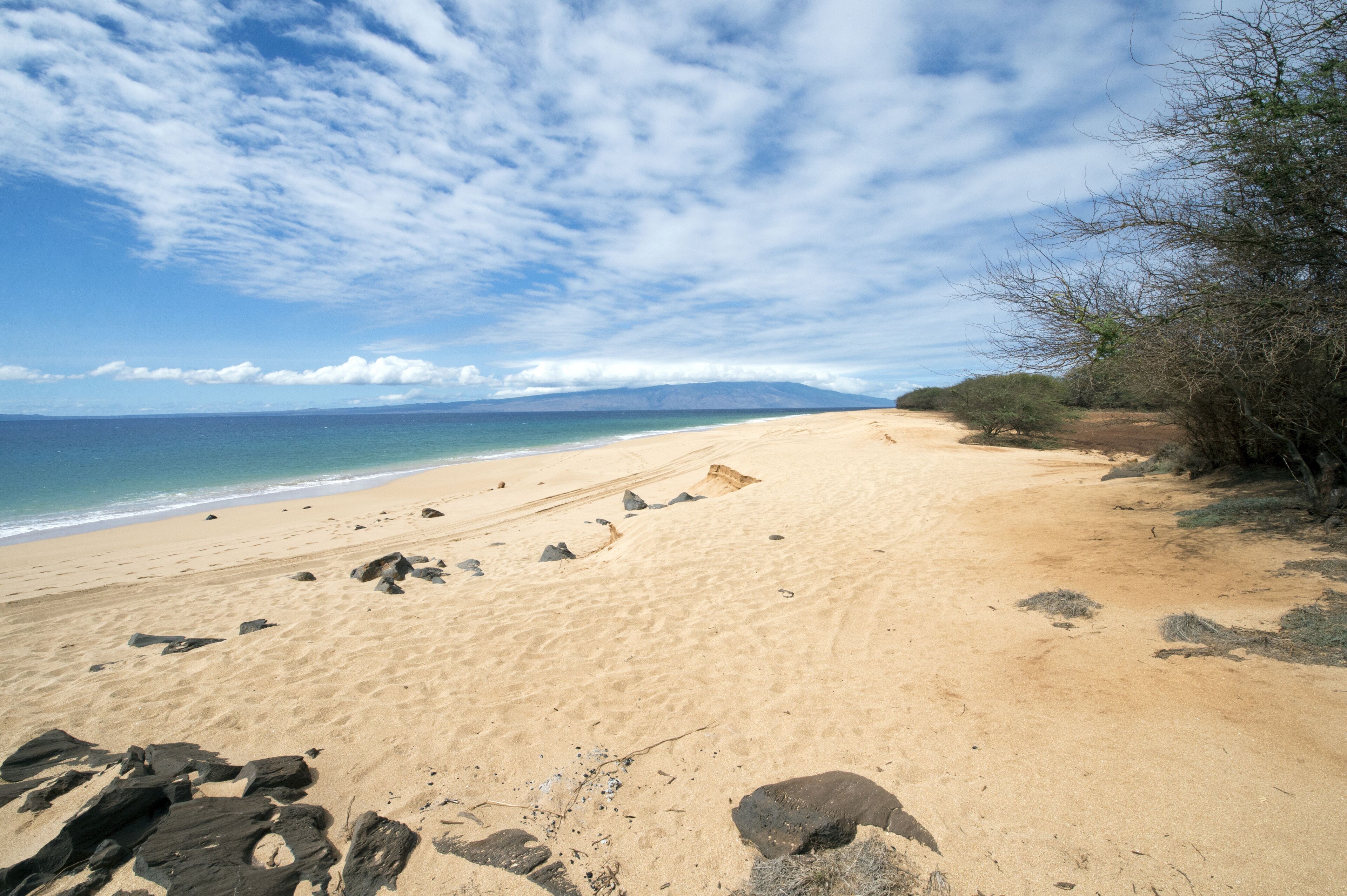 Polifua Beach, Lanai, Hawaii-3