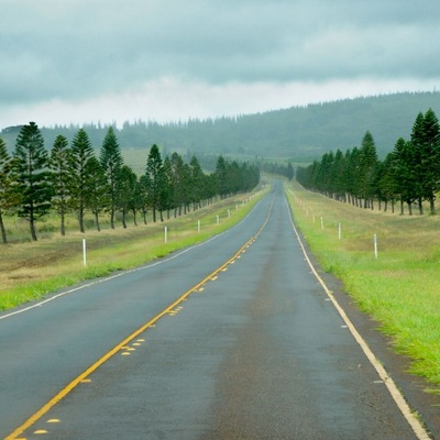 This is rush hour on the " 405 Freeway" in Lanai...
Lanai has three paved roads stretching a staggering... 30 miles, no stoplights, and one gas station.