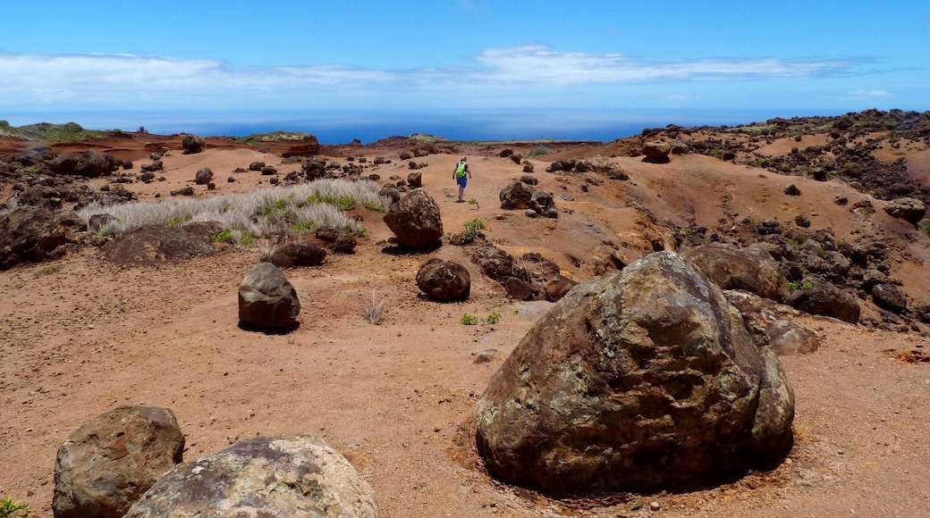 The Garden of Gods is a must if visiting Lanai (apart from the cat sanctuary!). Rent a jeep from town and head out. Comprising of 1300 acres of sandstone formations with loads of hiking trails. Unbelievably when we went, we were the only ones there! It was like being on the moon and the peace and quiet too! Recommended!