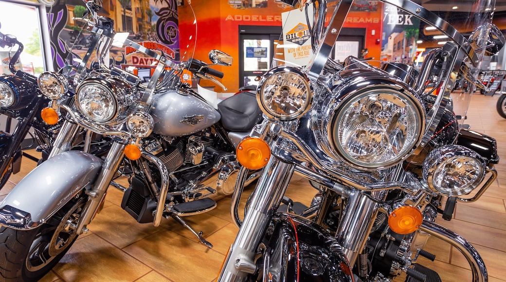 Florida which includes interior views