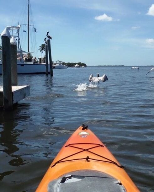 Beautiful day for a kayaking trip!
#waterlust