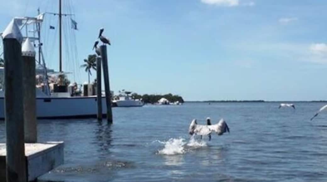 Beautiful day for a kayaking trip!
#waterlust