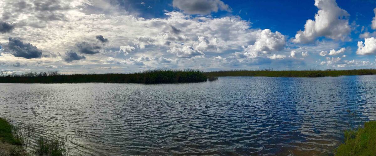 Kayaking in the Everglades.