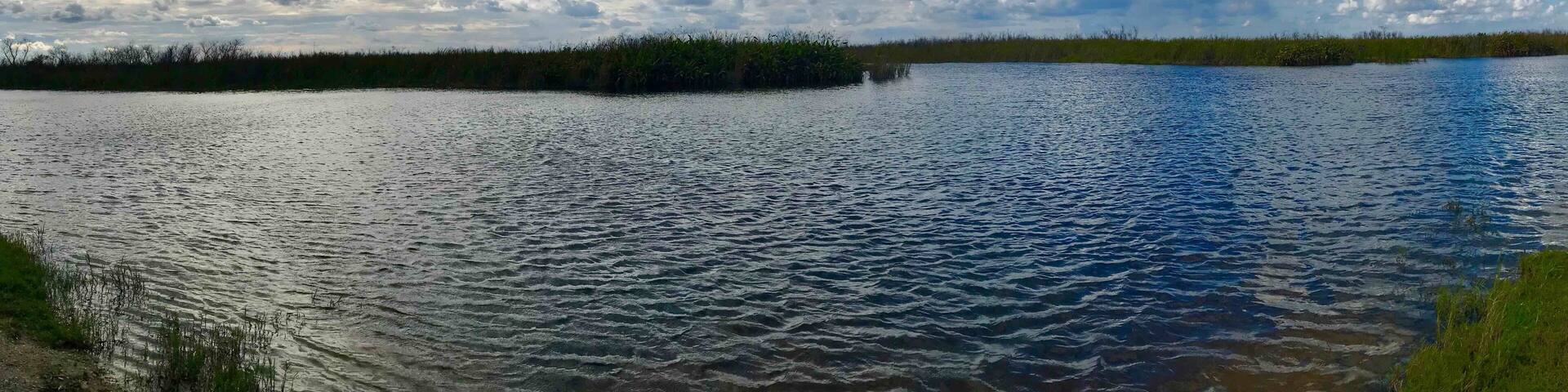 A calm lake with a grassy shoreline and a forested island in the distance under a partly cloudy sky.