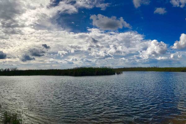 Un lac paisible, bordé d’une rive herbeuse, avec une île boisée qui se profile au loin sous un ciel partiellement nuageux.