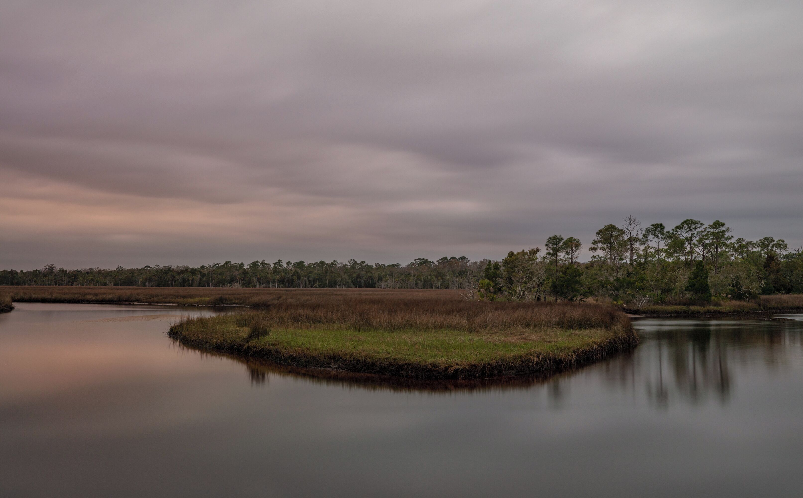 Thus ends my trip to Florida. A great drive with a lot of tolls and the best wadding birds around!